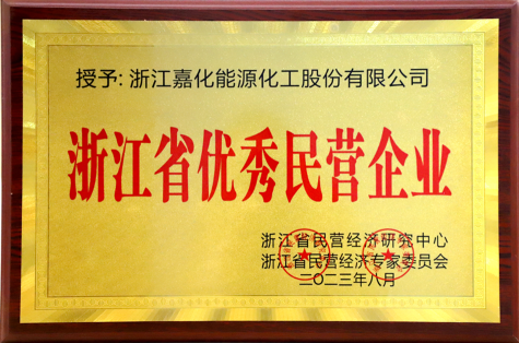 浙江省優(yōu)秀民營企業(yè)